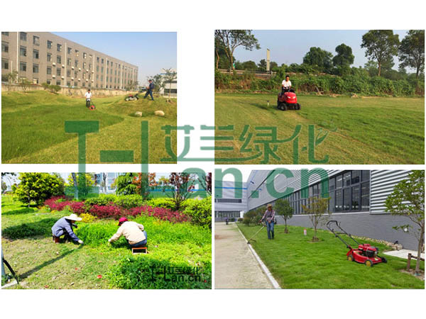 都会园林绿化的要点有哪些？？？？